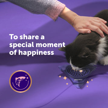 Happy Snack by FELIWAY