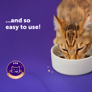 Happy Snack by FELIWAY