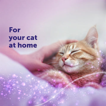 FELIWAY Classic - Starter Kit