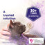 FELIWAY Classic - Starter Kit