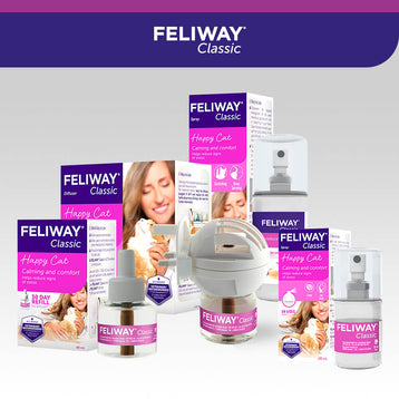 1 Diffuser + 1 Refill (30 Days)
