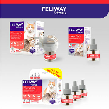 1 Diffuser + 1 Refill (30 Days)