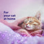 FELIWAY Classic - Refill