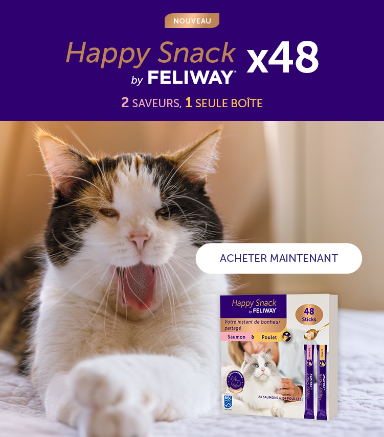 Chat bâillant avec produit Happy Snack by FELIWAY x48, texte "Nouveau, 2 saveurs 1 seule boîte" et bouton "Acheter maintenant"