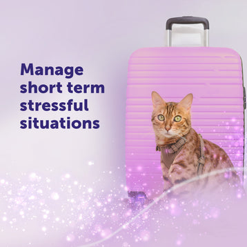 FELIWAY Help! - Pack of 3 cartridges