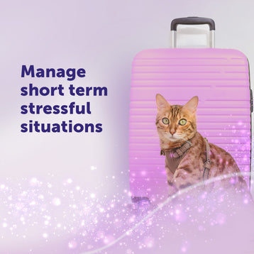 FELIWAY Help! - Starter Kit