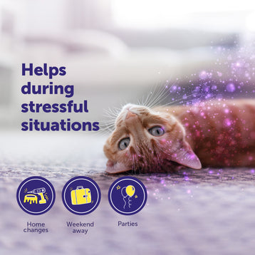 FELIWAY Help! - Starter Kit