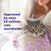FELIWAY Help! - Starter Kit