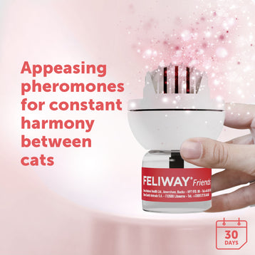 FELIWAY Friends - Starter Kit