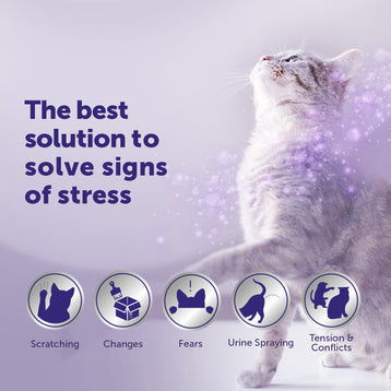 FELIWAY Optimum - Starter Kit