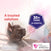 FELIWAY Friends - Starter Kit