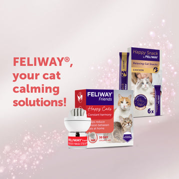 FELIWAY Friends - Starter Kit