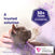 FELIWAY Classic - Starter Kit